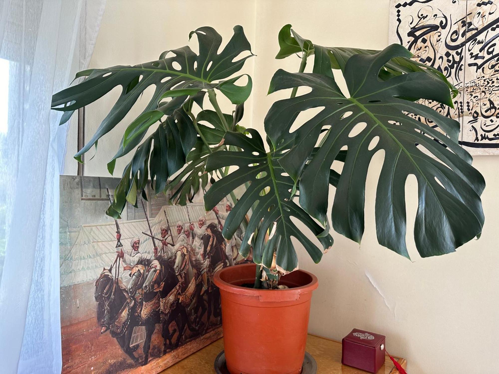 Dar Meftah Tanger Appartement Buitenkant foto
